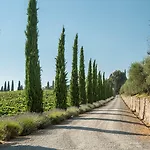 Wine Dievole (adults Only) *