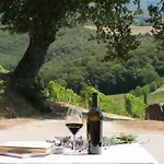Wine Dievole (adults Only) * Vagliagli