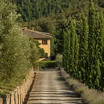 Wine Dievole (adults Only)
