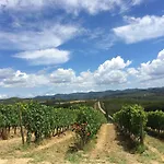 Wine Dievole (adults Only) *