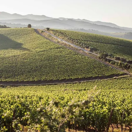 Wine Dievole (adults Only) Vagliagli