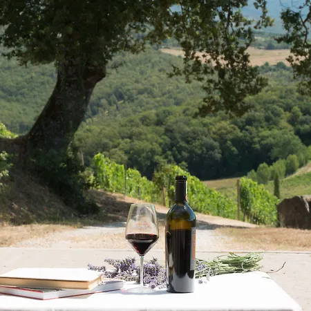 Wine Dievole (adults Only) * Vagliagli