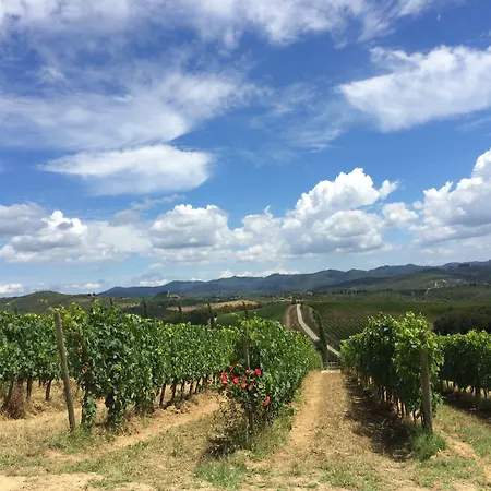 Wine Dievole (adults Only) *