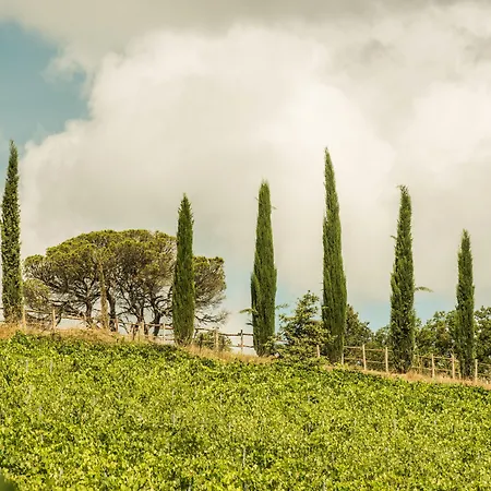 Wine Dievole (adults Only) * Vagliagli