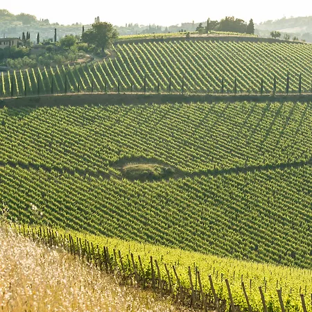 Wine Dievole (adults Only) Εξοχικό σπίτι *