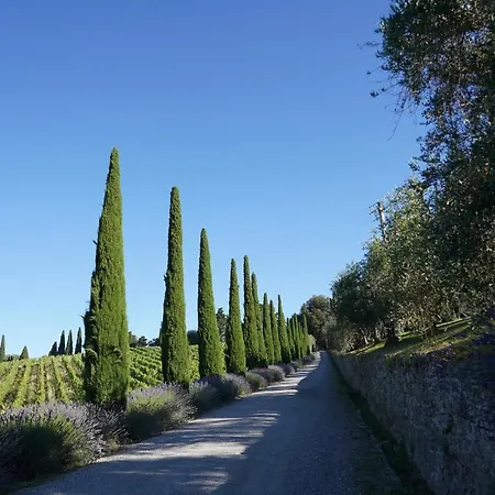 Wine Dievole (adults Only) Vagliagli