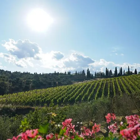 Wine Dievole (adults Only) Country house